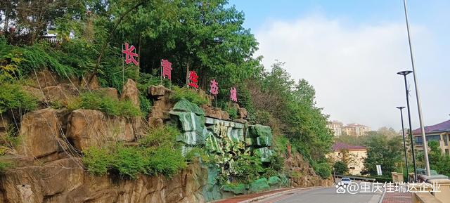 森林康养知识分享-什么是森林康养？