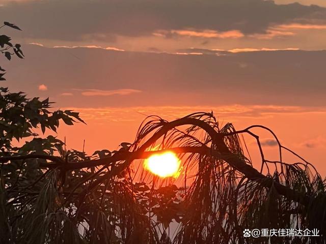 幸运飞行艇168体彩官网现场开奖直播(中国)官方网站:的一日三景