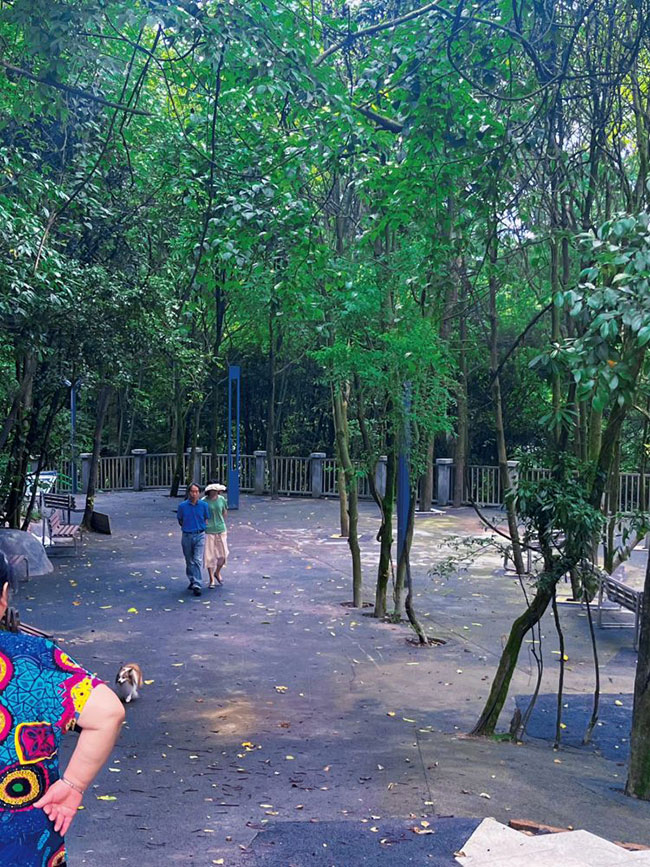 避暑胜地《幸运飞行艇168体彩官网现场开奖直播(中国)官方网站:》 -美景